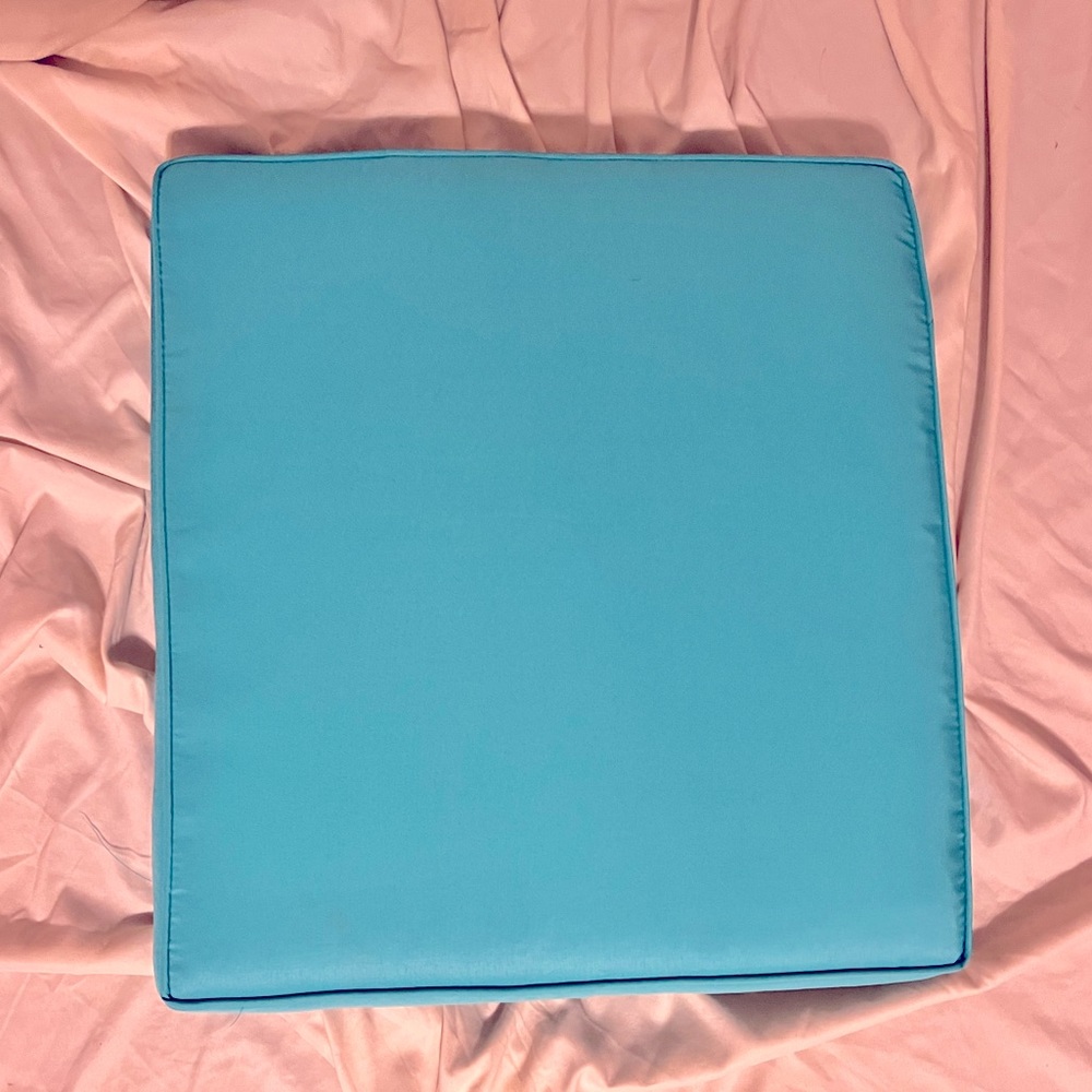 A pair of indoor/outdoor cushions